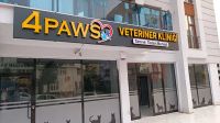 4PAWS Işıklı Kutu Harf Çalışması#1