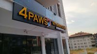 4PAWS Işıklı Kutu Harf Çalışması#1