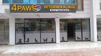 4PAWS Işıklı Kutu Harf Çalışması#1
