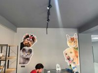 4PAWS VETERİNER Folyo Dijital Baskı