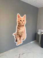 4PAWS VETERİNER Folyo Dijital Baskı