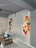 4PAWS VETERİNER Folyo Dijital Baskı